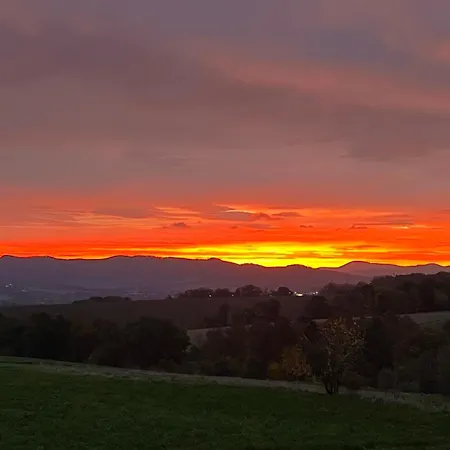 Pod Orzechem דירה *