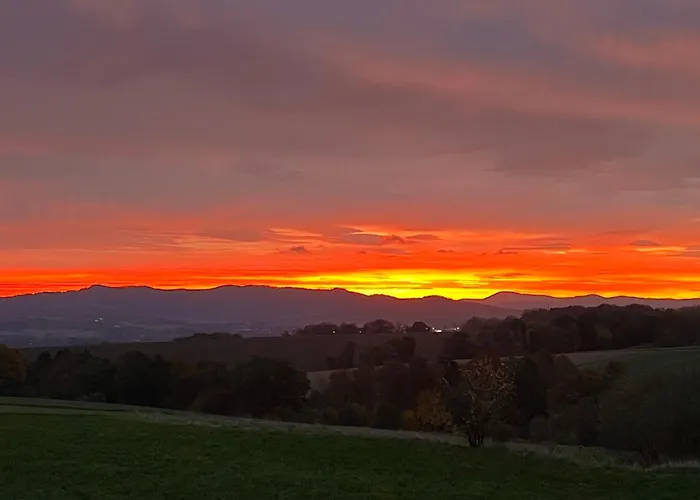 Pod Orzechem דירה *