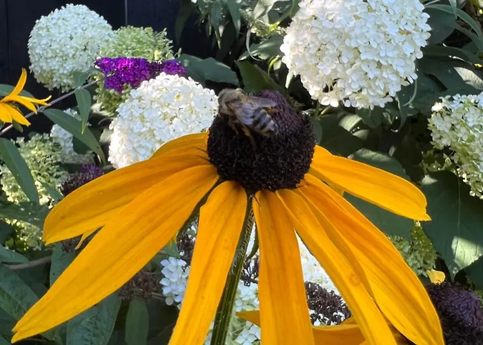 דירה Pod Orzechem Ruszowice