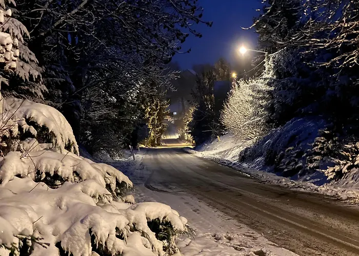 Pod Orzechem דירה *