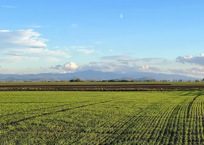 דירה Pod Orzechem *